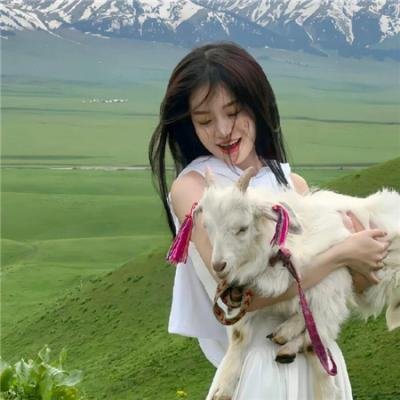 男孩、鼹鼠、狐狸与马