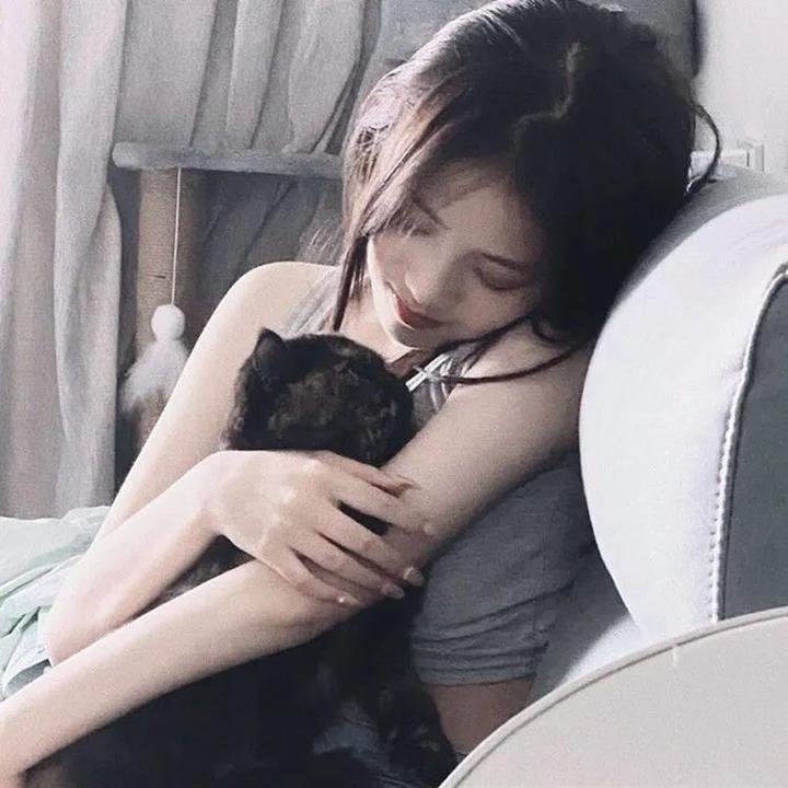 义犬报恩